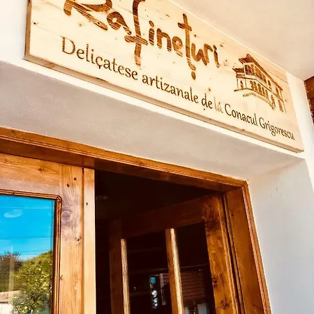 B&B Conacul Grigorescu *